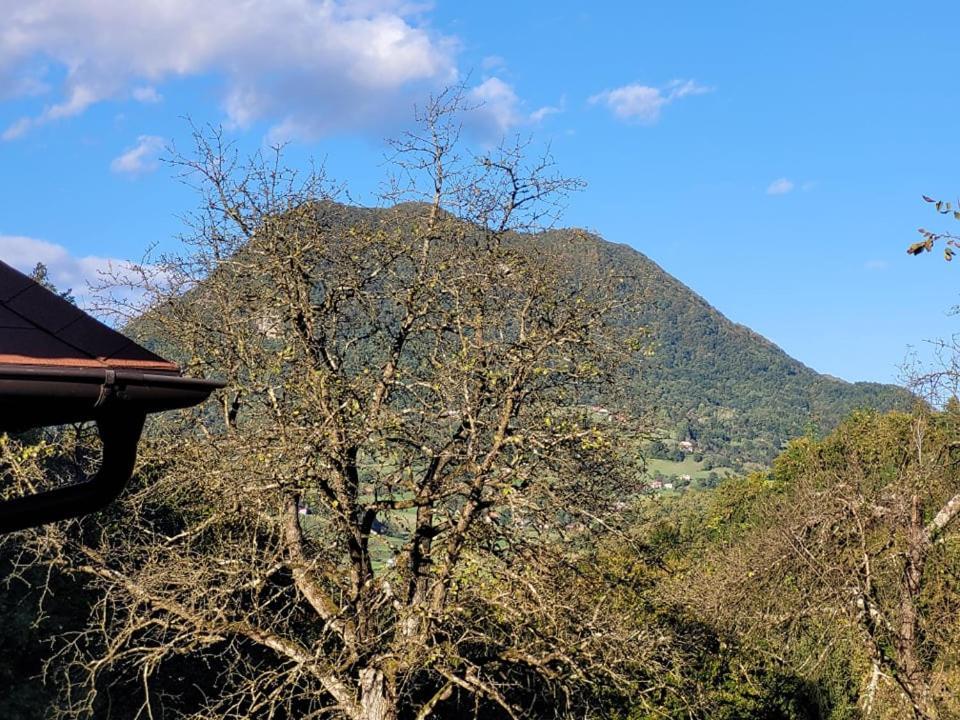 Villa Turisticna Kmetija Kunstek Rogatec Esterno foto