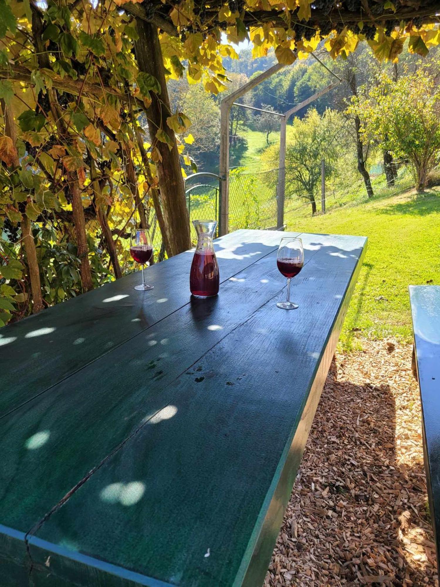 Villa Turisticna Kmetija Kunstek Rogatec Esterno foto